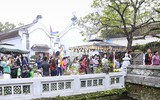 Đầu xuân chiêm bái chùa Một Cột
